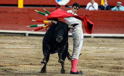 Miguel Ángel Perera: Cada toro es un mundo