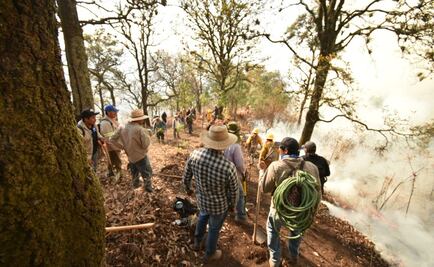 Incendio forestal en cerro del Tepozteco consume 50 hectáreas de bosque en Morelos