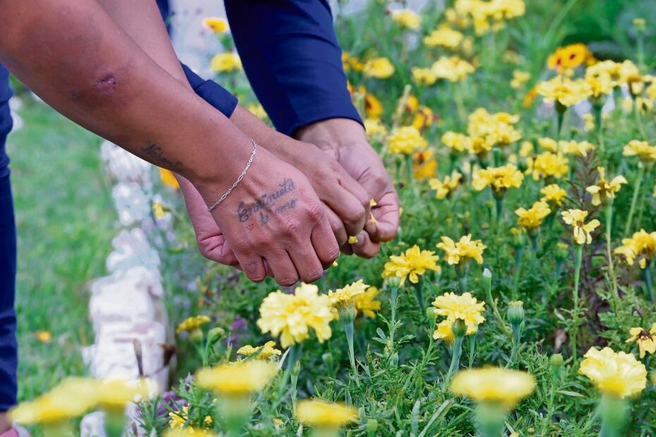 El cempasúchil sembrado en el penal está listo para su venta. Foto: Berenice Fregoso / El Universal