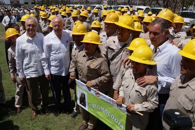 Van 800 mdp para jornada contra zika, dengue y chikungunya