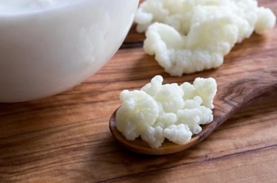 Cómo cuidar correctamente los búlgaros en casa