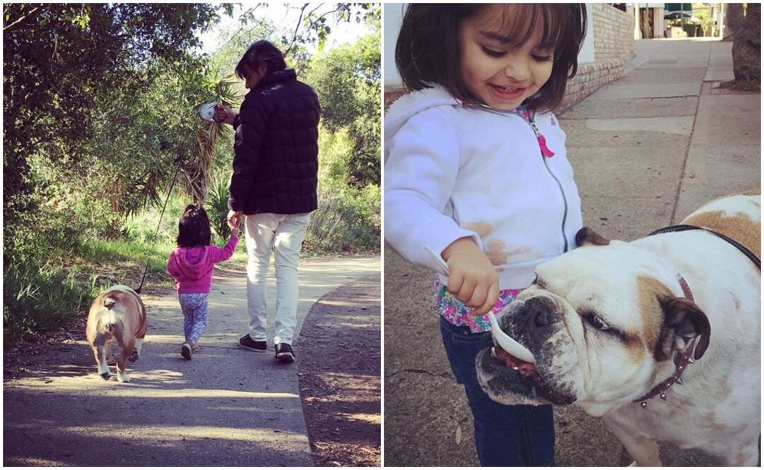 FOTO: Instagram alexrosaldo