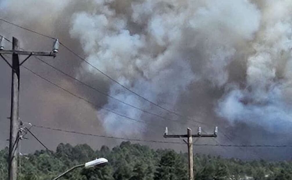 En Chihuahua hasta hoy sumaban 2 mil 996 hectáreas afectadas por los incendios forestales. Foto: especial