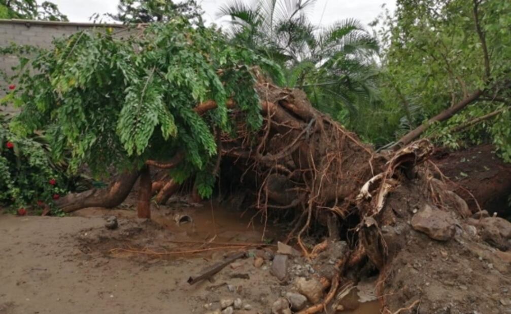 Trasladan a cerca de 350 familias a albergues por paso de “Narda” en Michoacán