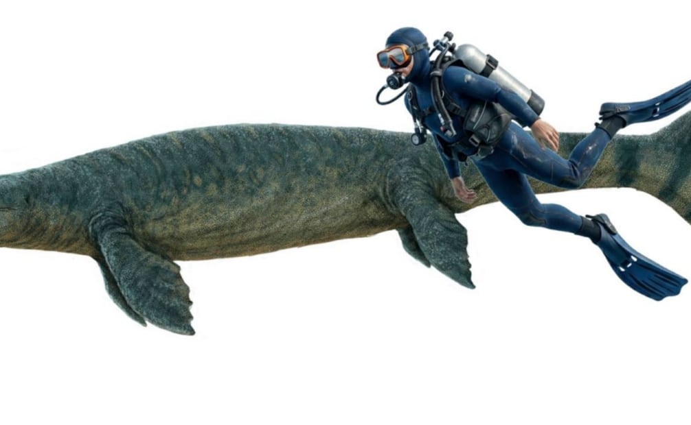 Identifican nuevo dinosaurio marino en el Noreste de México (17/03/2026). Foto: Especial