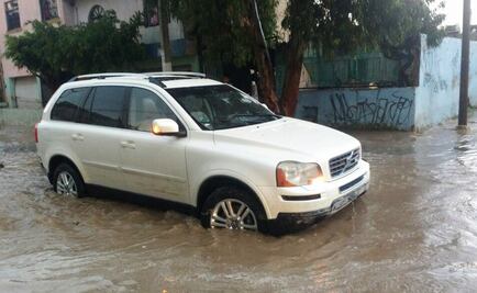 Lluvia deja autos varados y árboles caídos en Zapopan 