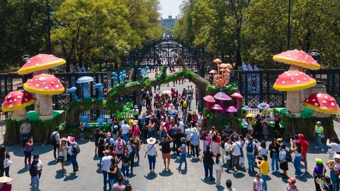 Foto: Festival del Bosque de Chapultepec