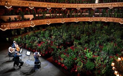 En la Barcelona desconfinada, más de 2 mil plantas van a la ópera
