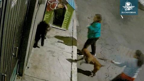 Mujer lanza a su perro para que ataque a 'lomitos' de la calle en Iztapalapa