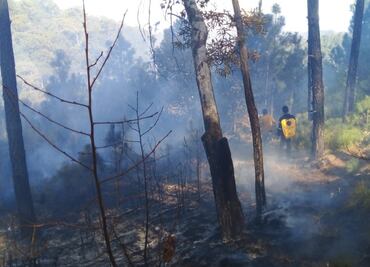 Trabajan en sofocar 13 incendios forestales en Chihuahua