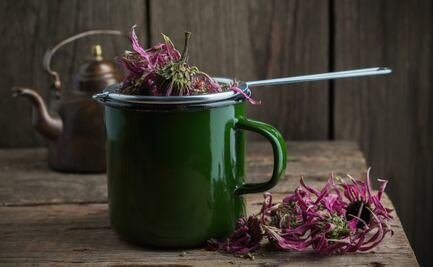 Termina con las infecciones intestinales de parásitos; la hierba natural efectiva