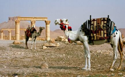 Palmira, después de la infame destrucción del Estado Islámico