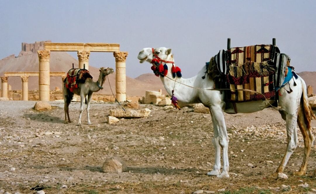 Es sólo una pequeña ciudad en el desierto, pero simboliza la riqueza cultural de la Gran Siria. (Foto: Simon Gurney)