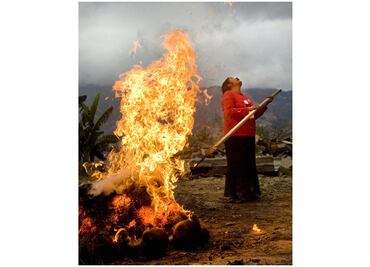 Alfarería de Oaxaca enciende al Franz Mayer