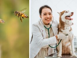 ¿Qué se celebra el 17 de agosto?; conoce las efemérides más destacadas del día