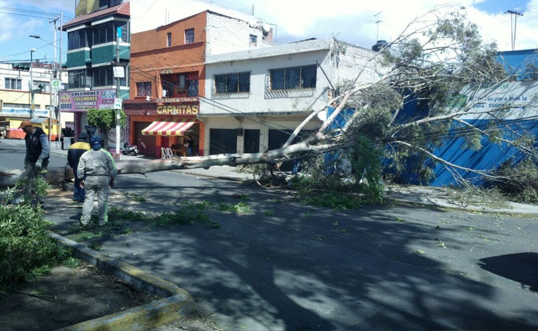 (Foto:Diana Delgado)