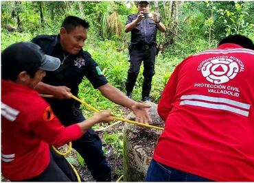 Rescatan a perrito de un pozo en Yucatán; cayó mientras corría en el patio de un predio