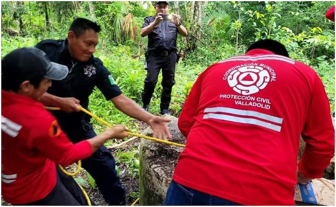 Este 1 de octubre de 2024 fue rescatado un perrito que cayó a un pozo en Yucatán. Foto: Especial
