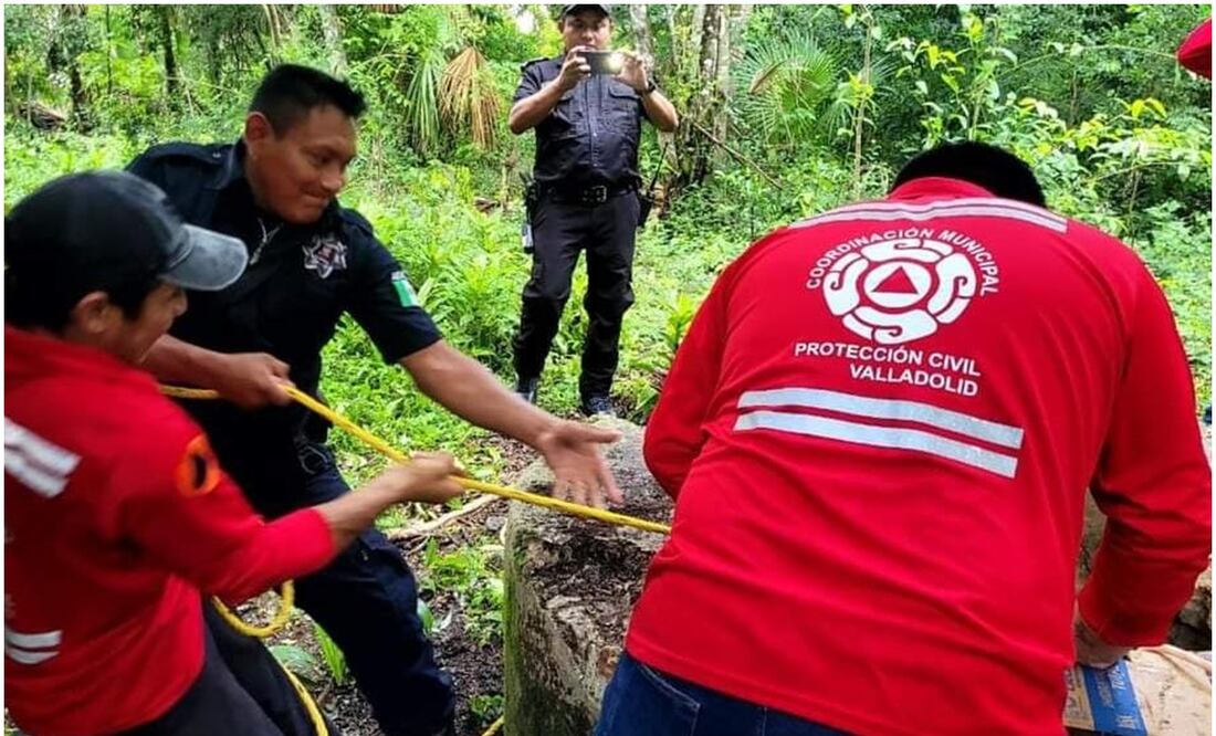 Este 1 de octubre de 2024 fue rescatado un perrito que cayó a un pozo en Yucatán. Foto: Especial