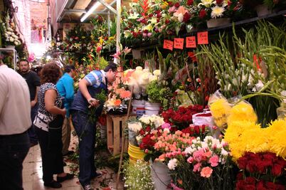 Remesas aumentan 11% en mayo por Día de las Madres 