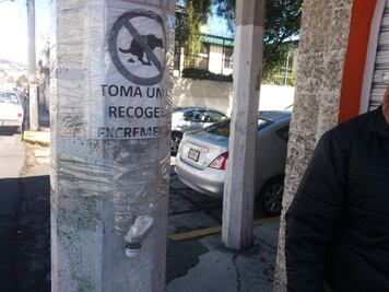 Repartirán bolsas en parques para recoger heces de perro