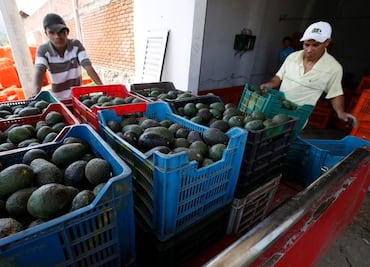 En riesgo exportaciones de alimentos si Cofepris y Senasica no cuidan seguridad y sanidad: CNA