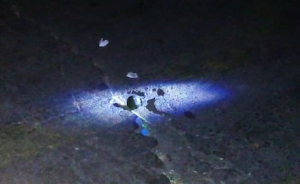 Lanzan granada en mercado Hidalgo de Puebla 