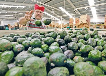 EU analiza retirar de TLCAN propuesta de estacionalidad