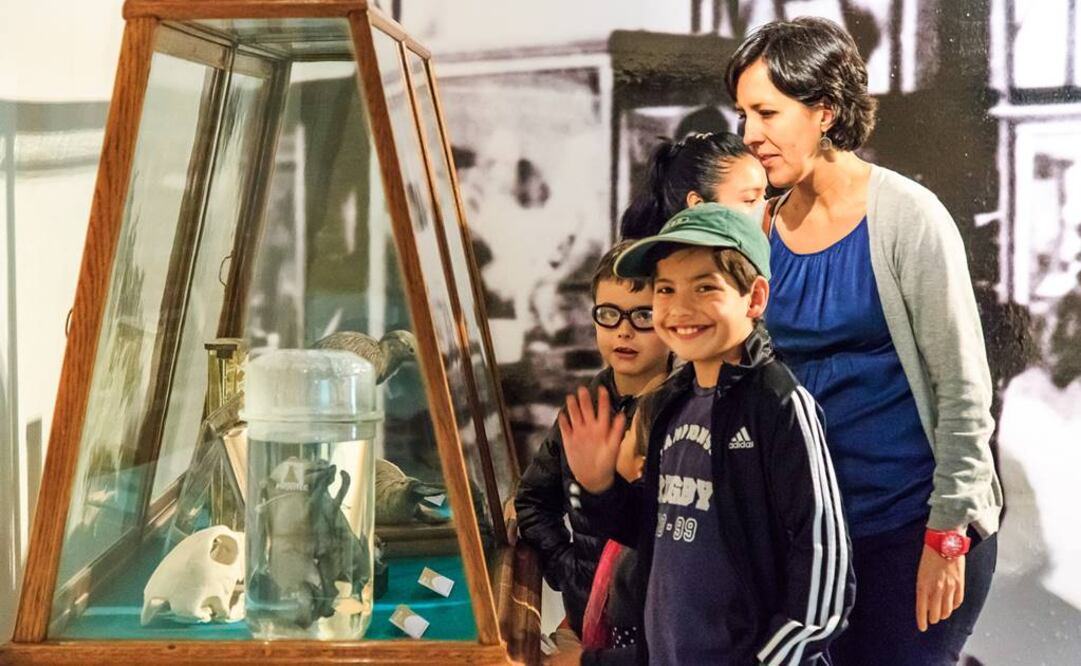 El Museo de Historia Natural de la Ciudad de México es, desde 1964, el más antiguo de la capital. FOTO: Archivo.