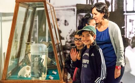 La CDMX celebra el Día de los Museos con actividades nocturnas