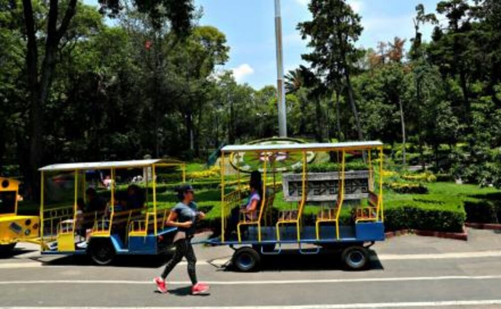 5 parques en la CDMX para irte de picnic