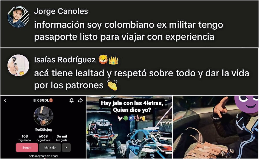 En la plataforma de TikTok hay múltiples ofertas de “jale”, así como personas que se dicen dispuestas a trabajar para el crimen organizado. Fotos: Especiales