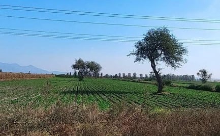 Gobierno confunde reciclaje con economía circular; ambientalista denuncia inconsistencias en plan para Tula