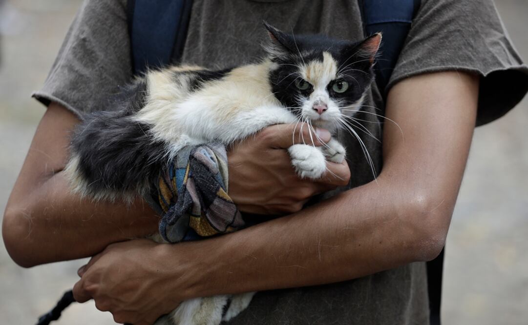 Foto: AP/Rebecca Blackwell