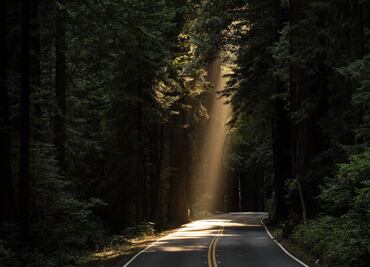 Esta es la macabra leyenda del Km 31 en CDMX