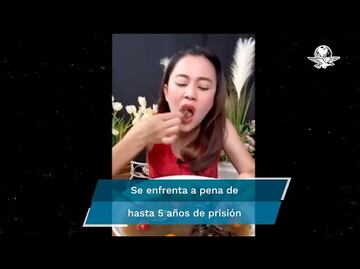 Por comer sopa de murciélago, arrestan a Youtuber tailandesa