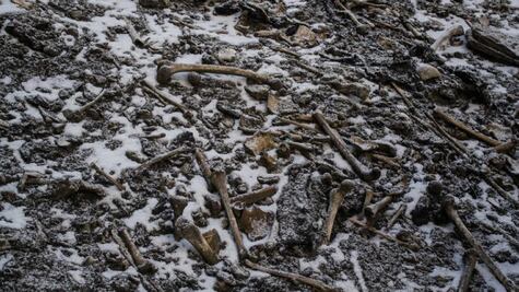 Esqueletos en el Himalaya: hallazgos que intentan explicar el misterio del lago con huesos