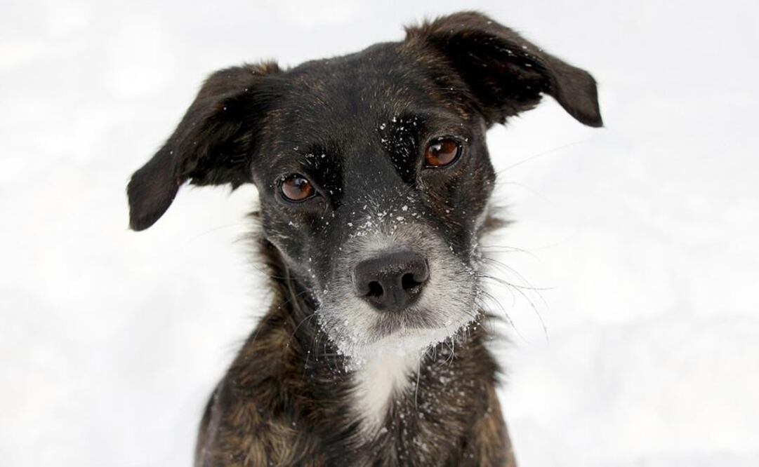 Foto: Ilustrativa. Pixabay 