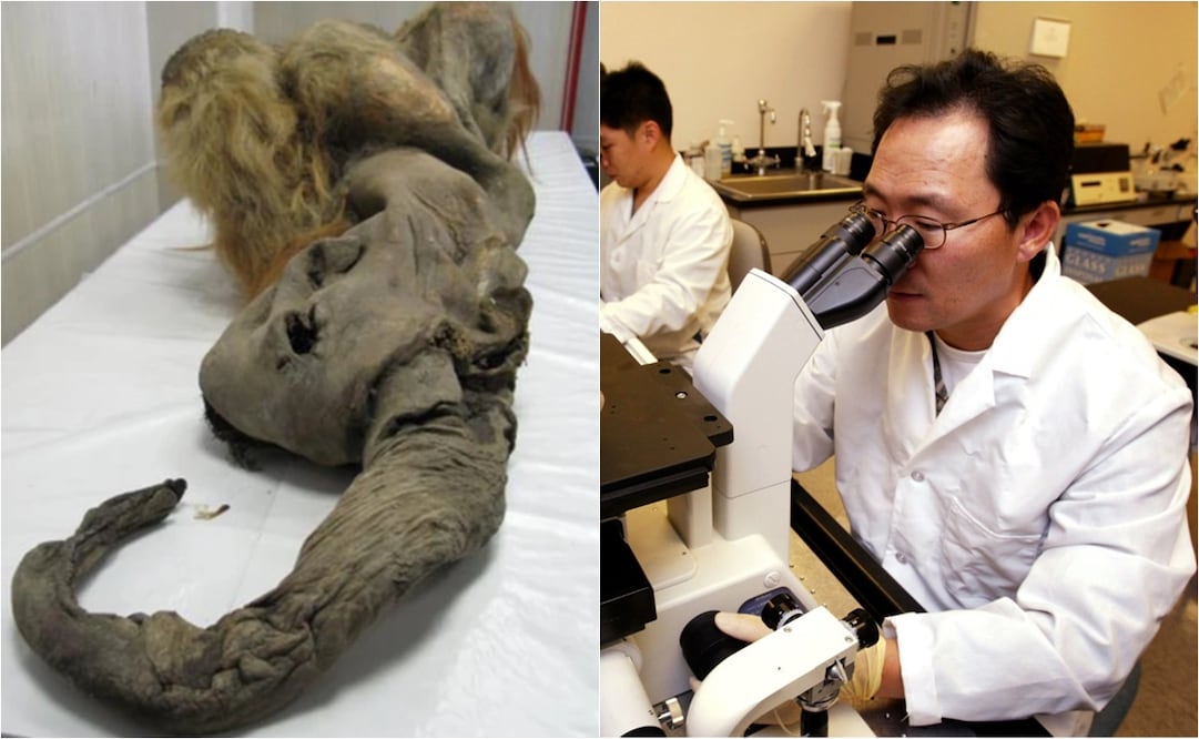 Foto: Scientific Reports y AFP, archivo 