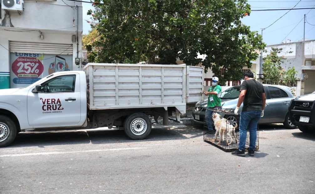 El personal municipal confirmó las condiciones inadecuadas en las que se encontraban los animales. | Foto: Especial.