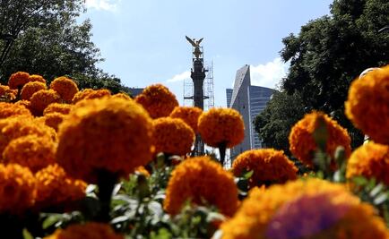 Día de Muertos: Alebrijes, flor de cempasúchil y ofrendas en la CDMX