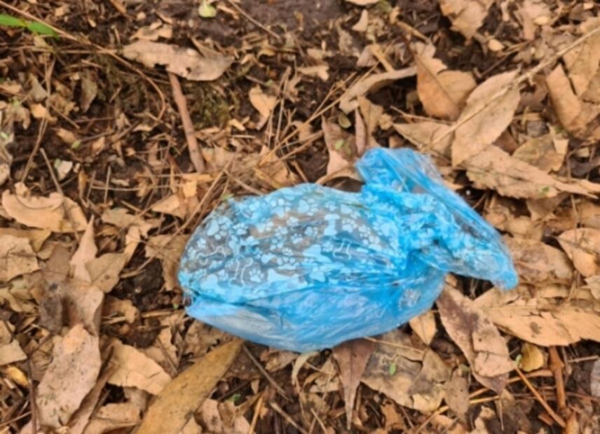 Mil millones de bolsas de plástico para perros mexicanos