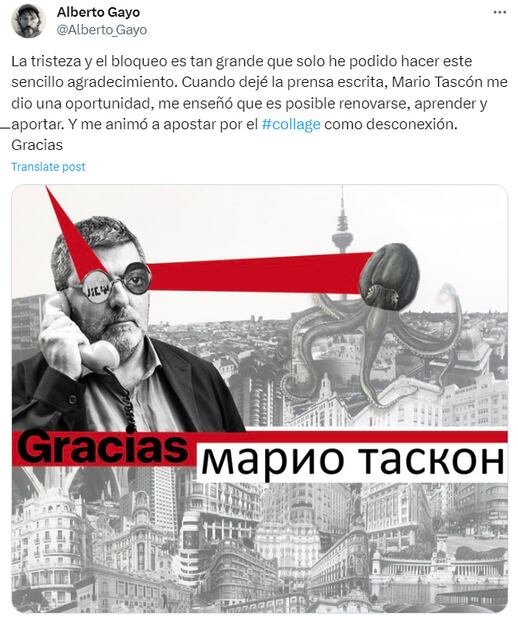 Reportero Alberto Gayo