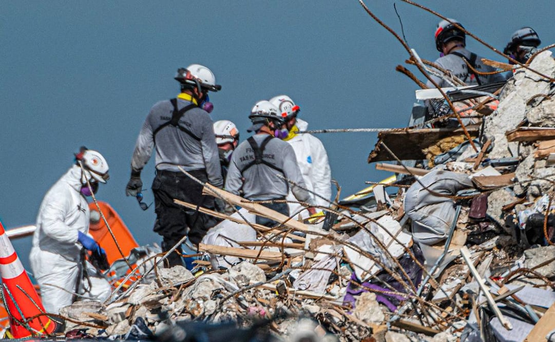 La alcaldesa detalló que los equipos han realizado tres búsquedas por separado y no han encontrado mascotas que pudieran haber estado en el edificio. Foto: AFP