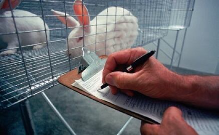 Piden trato ético para los animales