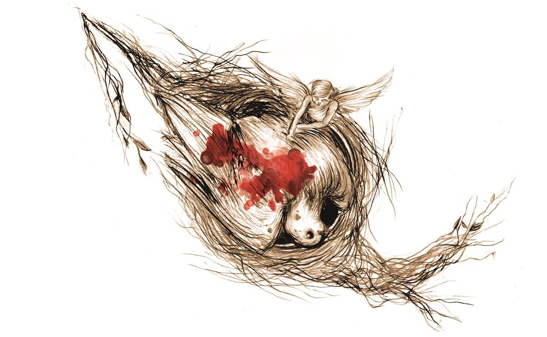 Ilustración: ROSARIO LUCAS