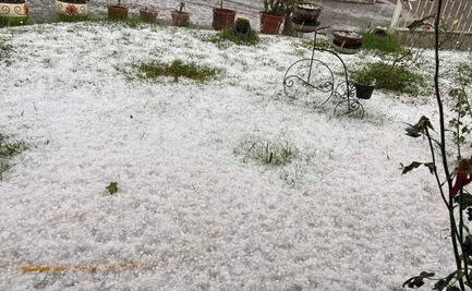 Granizada devasta producción de aguacate en Uruapan, Michoacán