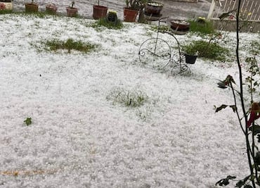 Granizada devasta producción de aguacate en Uruapan, Michoacán
