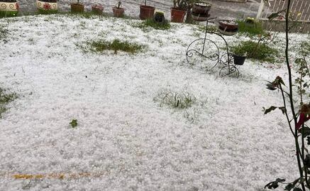 Granizada devasta producción de aguacate en Uruapan, Michoacán