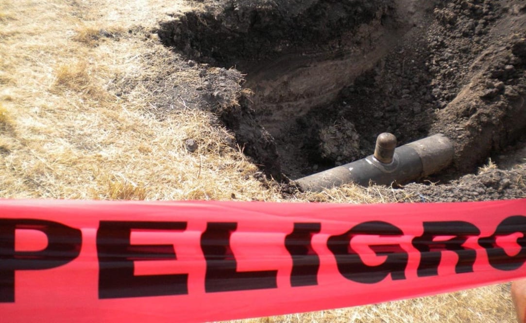 Imagen ilustrativa. Foto: Archivo/EL UNIVERSAL